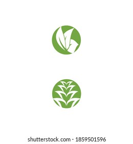 Leaf  ecology Logo Template vector symbol nature