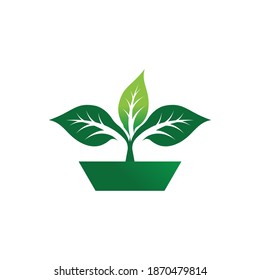 Leaf  ecology Logo Template vector symbol nature