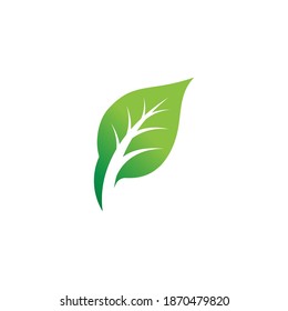 Leaf  ecology Logo Template vector symbol nature