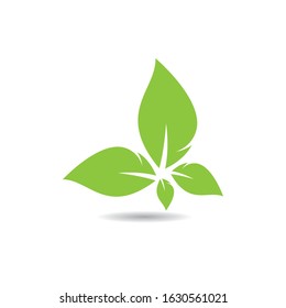 Leaf ecology logo  vector icon illustration