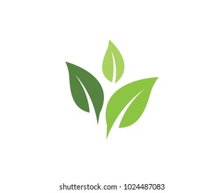 Leaf ecology nature Logo Template
