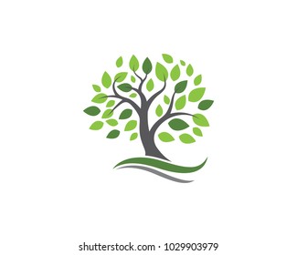 Leaf ecology nature Logo Template