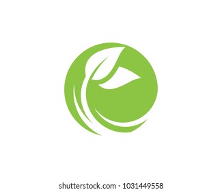 Leaf ecology nature Logo Template