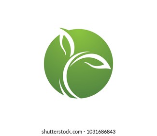 Leaf ecology nature Logo Template