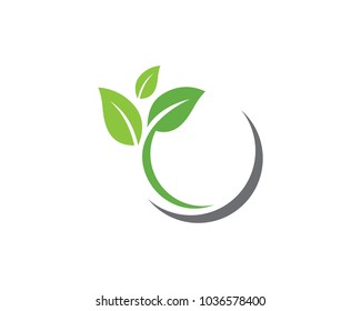 Leaf ecology nature Logo Template