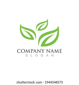  leaf ecology nature Logos of green Tree element vector