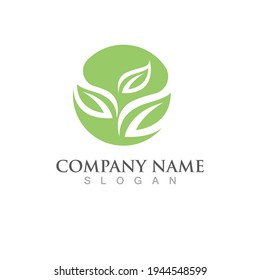  leaf ecology nature Logos of green Tree element vector
