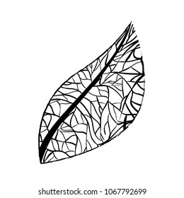 leaf ecology single icon