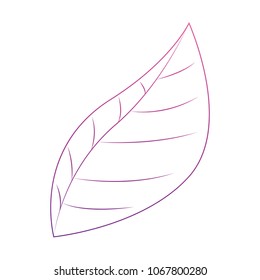 leaf ecology single icon