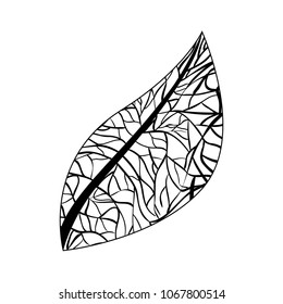 leaf ecology single icon