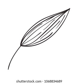 leaf ecology single icon