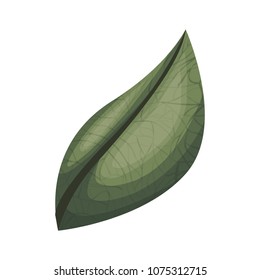 leaf ecology single icon
