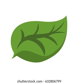 Leaf ecology symbol