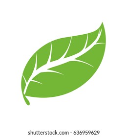 Leaf ecology symbol