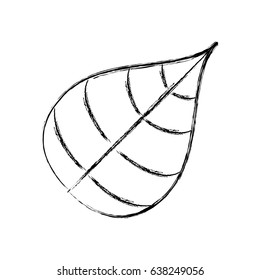 Leaf ecology symbol