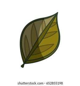 Leaf ecology symbol