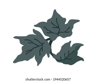 Leaf for elegant design, rustic design, botanical design. Botanical vector illustration on a white background. Botanical trendy greenery vector illustration.