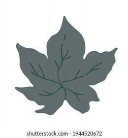 Leaf for elegant design, rustic design, botanical design. Botanical vector illustration.