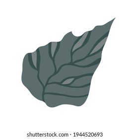 Leaf for elegant design, rustic design, botanical design. Vector on a white background. Botanical trendy greenery vector illustration.