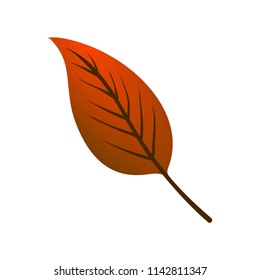 Leaf element autumn