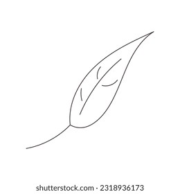 leaf element drawing contour coloring book