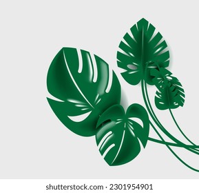 Leaf element green background nature wallpaper monstera leaves