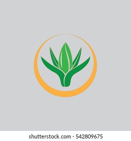 leaf in ellipse art logo hand