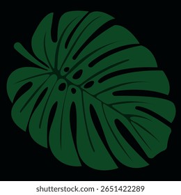 A folha está gravada em verde sobre um fundo escuro. Desenho de mão de vetor de botânica tropical.