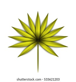 Leaf exotic bright green summer tropical illustration