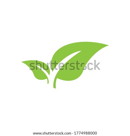 leaf exotic,for symbol design natural growt