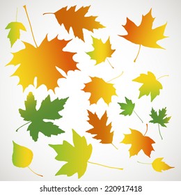 Leaf fall background. Maple leaves. Vector illustration.