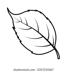 Leaf fall icon vector on trendy design