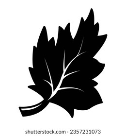 Leaf fall icon vector on trendy design