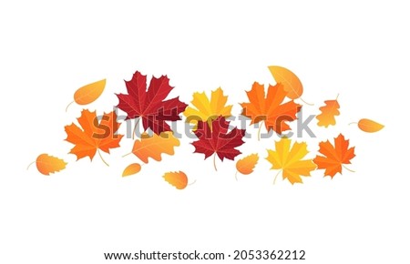 Leaf fall. Vector leaves flying in the wind. Horizontal line of red and yellow leaves, vector illustration isolated on white background.
