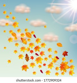 Leaf fall, yellow leaves fly in the blue sky, clouds and the sun, autumn landscape.
