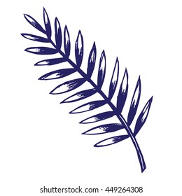 Leaf of a fern or palm tree. Vector illustration hand drawn for your design or logo.