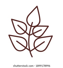 leaf with five leaves line style icon design of Plant natural floral theme Vector illustration