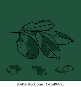 leaf flat desin illustration concept