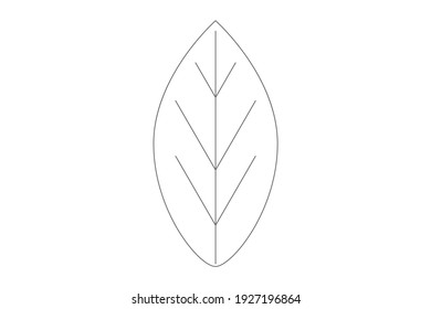 Leaf flat icon. Eco green leaves. Elements for eco and bio logos design. Vector illustration. 