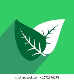 Leaf flat icon with long shadow. Vector graphic Illustration.