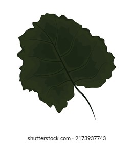 leaf flat icon nature and botanical