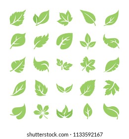 
Icônes Feuille à plat 
