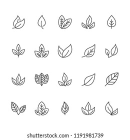 Leaf flat line icons. Plant, tree leaves illustrations. Thin signs of organic food, natural material, bio ingredient, eco concept. Pixel perfect 64x64. Editable Strokes.