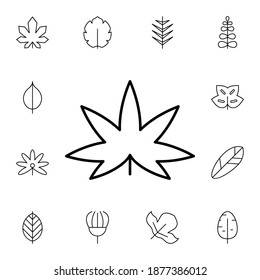 Leaf flat vector icon in leaves pack