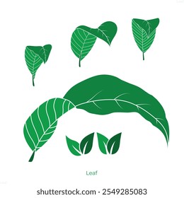 leaf, flick,tree, leaves, leaf icon, Green leaf, tree leaf
