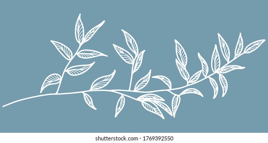 Leaf and flower background vector. Tropical pattern design for packaging, wallpaper and print, Vector illustration.