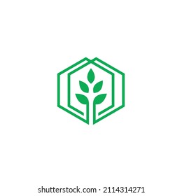 Flor de hojas Bloom Green Growth Box Hexagon Cube Logo Inspiración Diseño