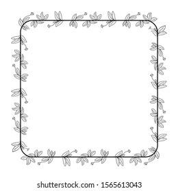 leaf and flower border motif. frame theme of vines. delimiter for text or banners with isolated white backgrounds.