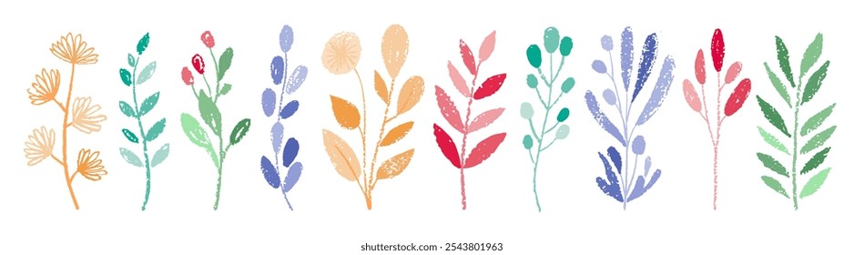 Leaf, flower, branch vector plant set. Floral watercolor brush or crayon pattern background. Chalk element. Spring hand drawn foliage, abstract pastel with leaf, branch, flower. Winter Christmas plant