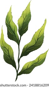 leaf, flower, collection, illustration, decoration, nature, plant, graphic, botanical, drawing